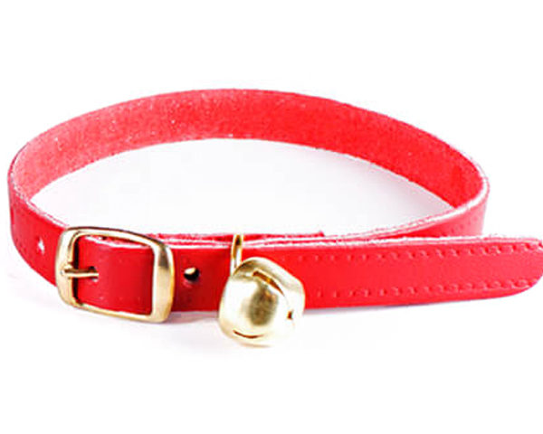 I09171_Collar_cuero_gato_Nº_2