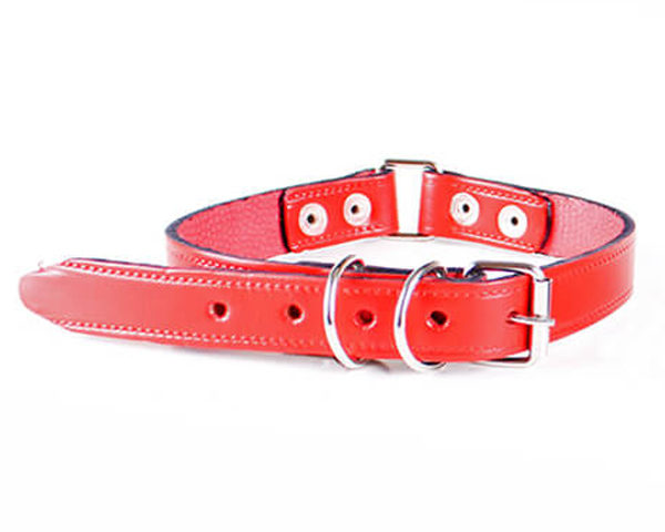 I09193_Collar_cuero_25_mm_1_Pulgada_Partido