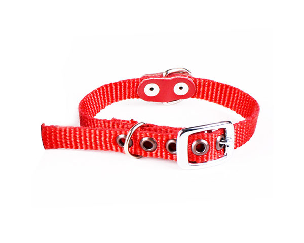 I09222_Collar_PL_Chico_16_mm