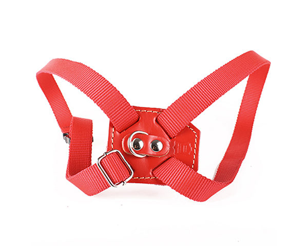 I09237_Arnes_tipo_ocho_16_mm