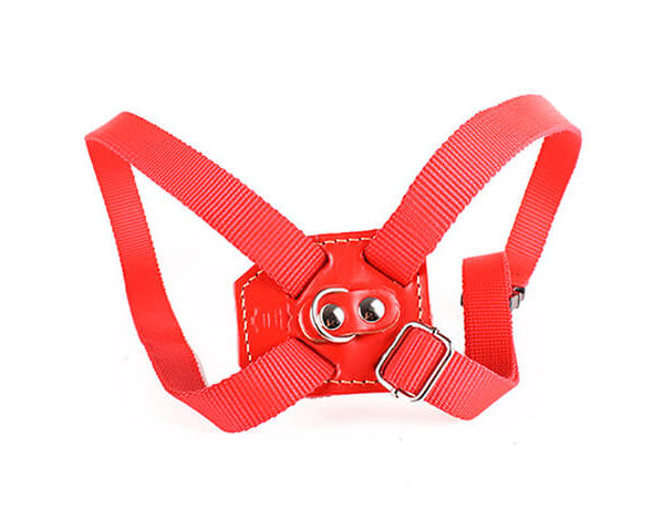 I09249_Arnes_tipo_ocho_25_mm