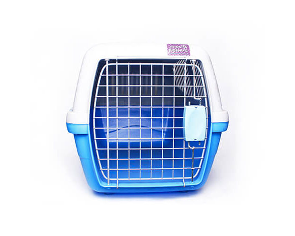 I09955_Transportadora_Nº2_2