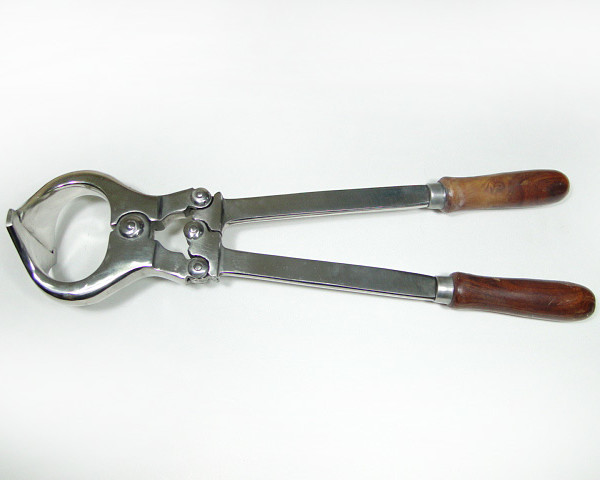 L12031